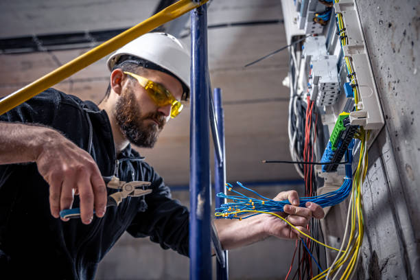 Best Electric Panel Repair  in Holt, AL