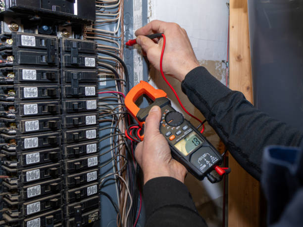 Best Electric Panel Repair  in Holt, AL